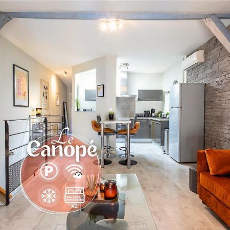 Le Canope - T3 Duplex, 2 Salles D'Eau, Hypercentre Castres  Bagian luar foto