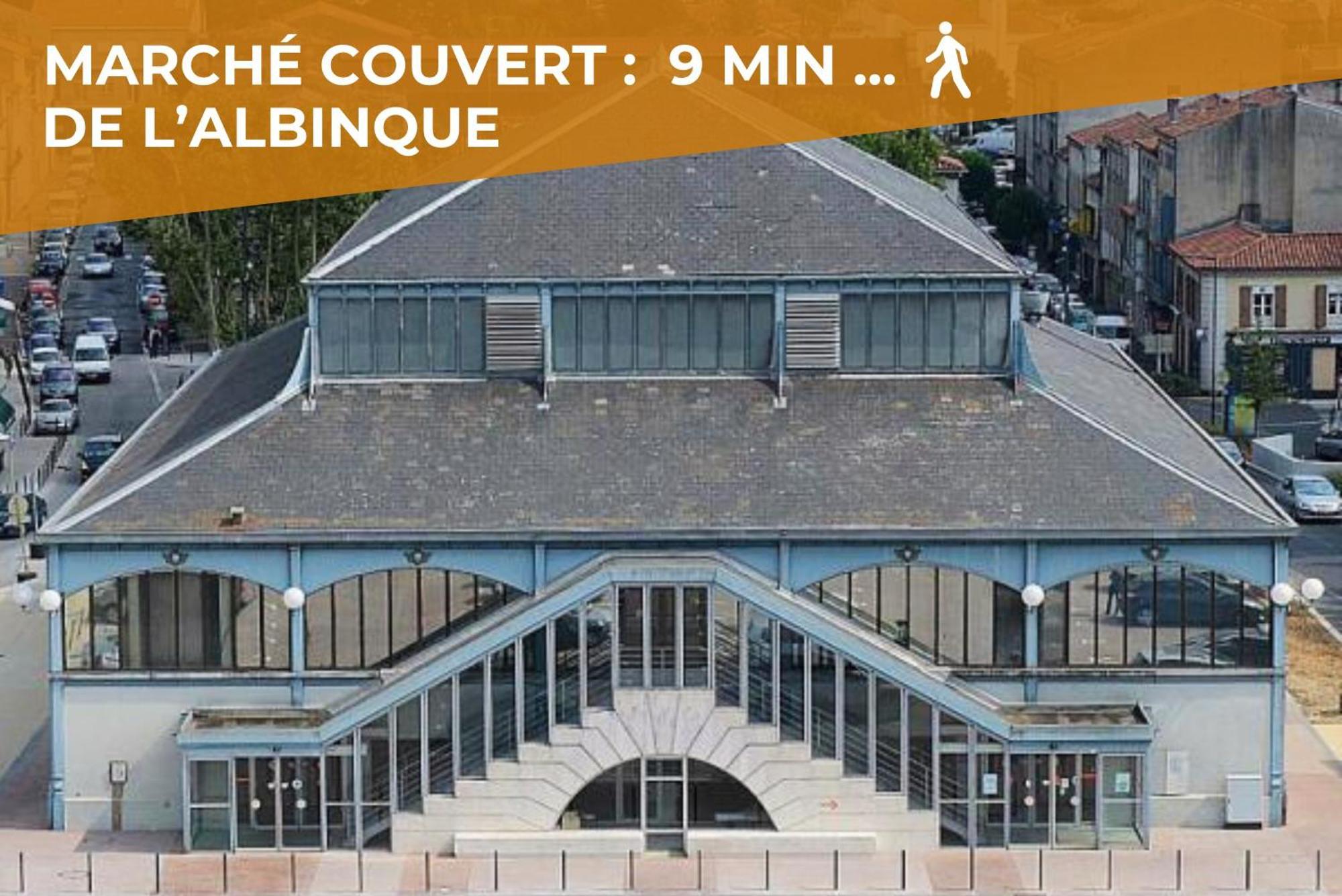 Le Canope - T3 Duplex, 2 Salles D'Eau, Hypercentre Castres  Bagian luar foto