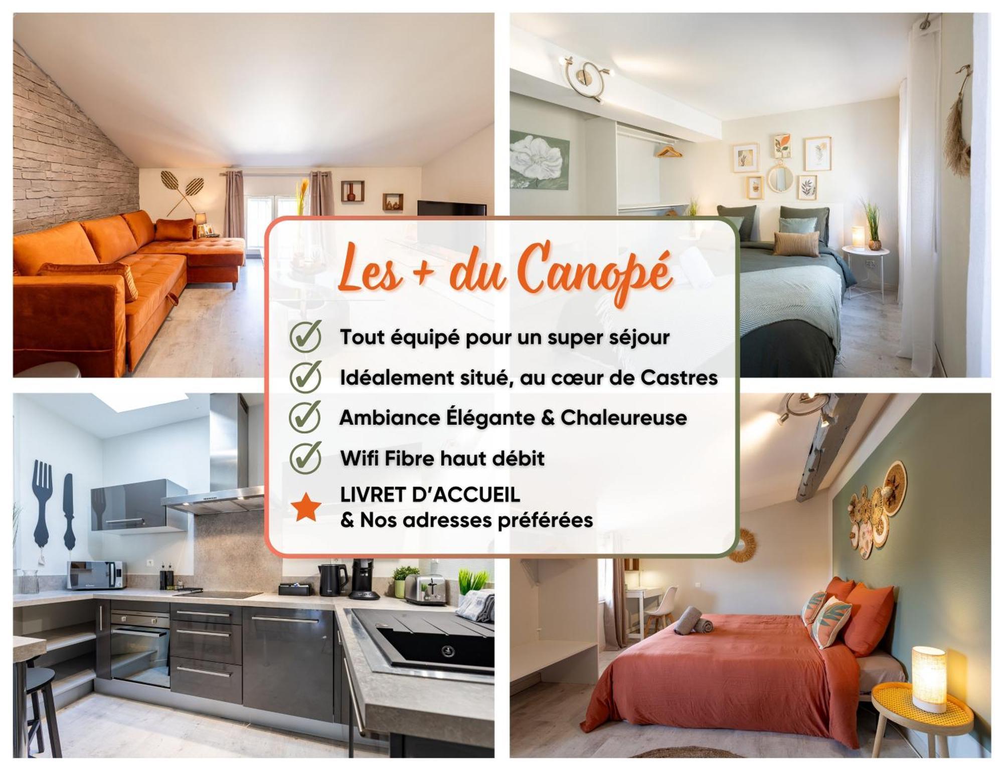 Le Canope - T3 Duplex, 2 Salles D'Eau, Hypercentre Castres  Bagian luar foto