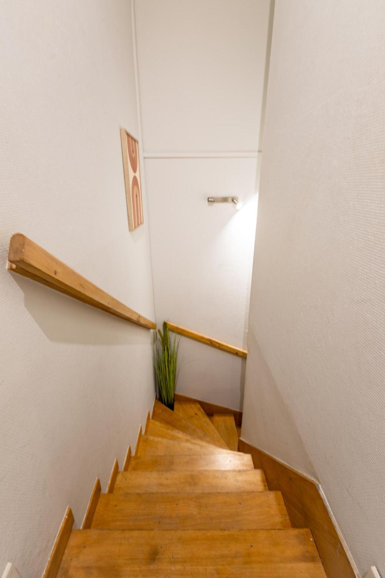 Le Canope - T3 Duplex, 2 Salles D'Eau, Hypercentre Castres  Bagian luar foto