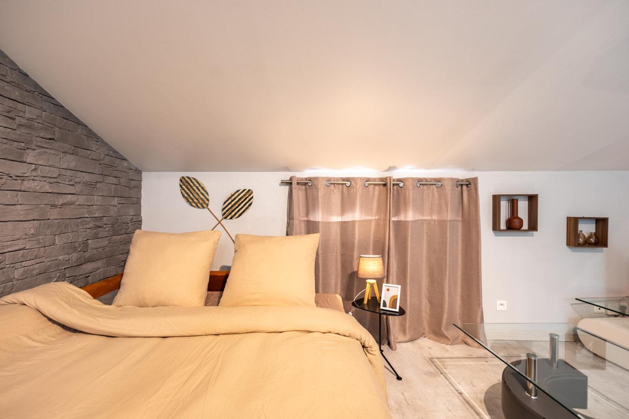 Le Canope - T3 Duplex, 2 Salles D'Eau, Hypercentre Castres  Bagian luar foto